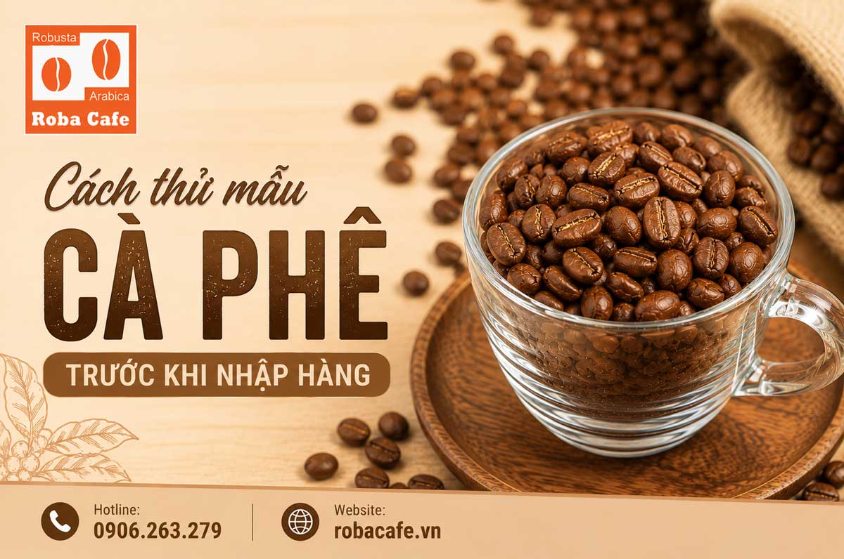 Làm thế nào để lựa chọn nguồn cung cấp cà phê cho quán cafe sau khi thử mẫu?